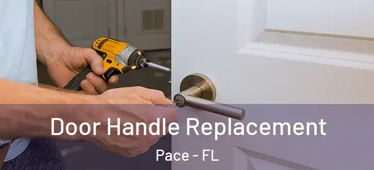  Door Handle Replacement Pace - FL
