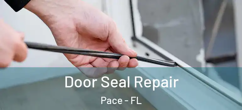  Door Seal Repair Pace - FL