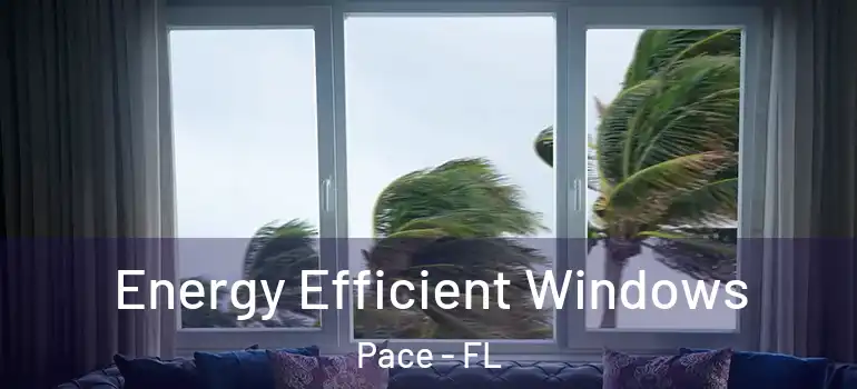  Energy Efficient Windows Pace - FL