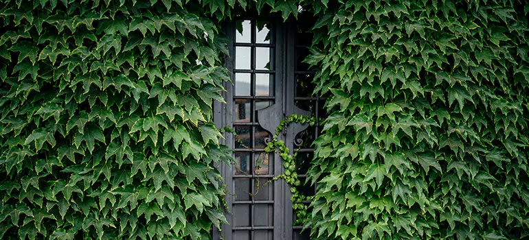Garden Gate Repair in Pace, FL