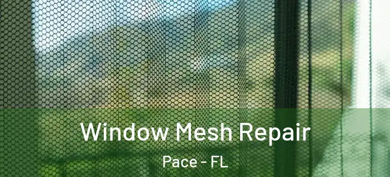  Window Mesh Repair Pace - FL